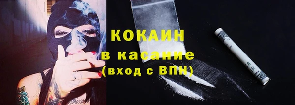 гидра Богданович